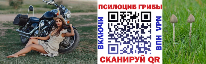 Галлюциногенные грибы MAGIC MUSHROOMS  Владикавказ 