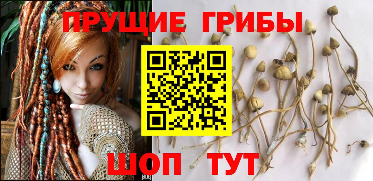 Метадон Владикавказ