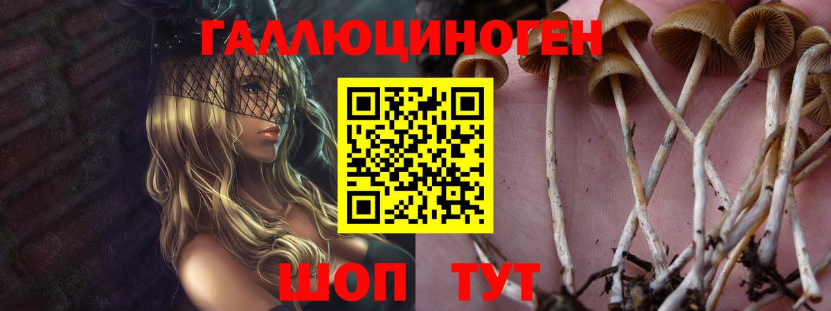 Галлюциногенные грибы Cubensis  Владикавказ 