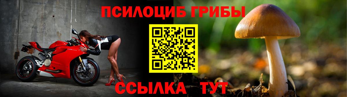 Псилоцибиновые грибы Magic Shrooms  Вход с VPN  Владикавказ 