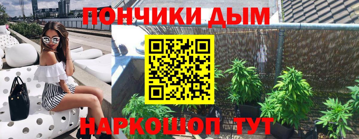 Шишки марихуана Amnesia  МАРИХУАНА гибрид  Каннабис индика  Владикавказ 